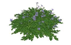 灌木丛植物知末网su模型免费下载