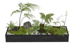 蕨类植物环艺绿化su模型