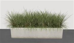 杂草花坛su模型