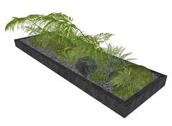 蕨类花坛植物su模型