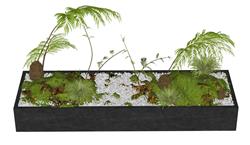 蕨类花坛植物景观su模型