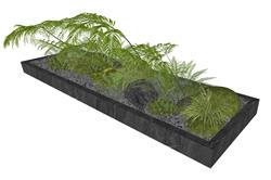 蕨类植物花坛的su模型