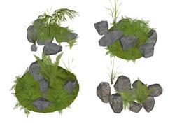 蕨类植物石头su模型
