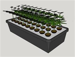 盆栽种植箱的su模型