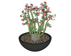 懒人花盆栽植物模型