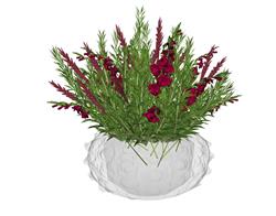 玻璃植物花瓶模型