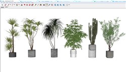 绿植盆栽的SU模型