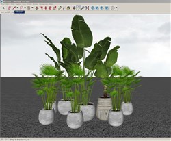 花盆植物的SU模型