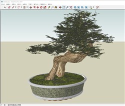 盆景盆栽植物的sketchup模型