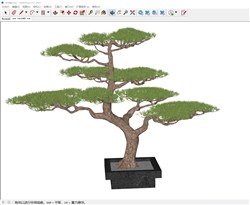 庭院景观松树盆景的sketchup模型
