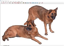 动物狼狗的sketchup模型