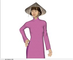 越南斗笠女人的sketchup模型