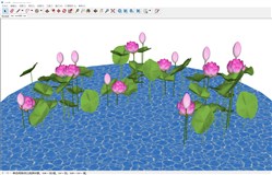 荷花池景观荷叶的sketchup模型