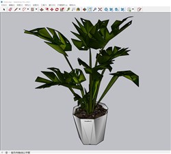 盆栽植物的sketchup模型