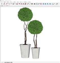 球形植物盆景的sketchup模型