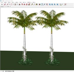 椰树植物的sketchup模型