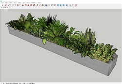 花坛植物的sketchup模型