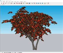 凤凰木植物的sketchup模型