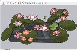 荷花池荷叶景观的sketchup模型