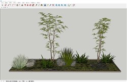 小树苗树木花圃的sketchup模型