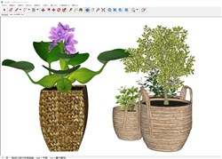 竹编花盆植物的sketchup模型