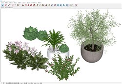 植物盆栽的sketchup模型