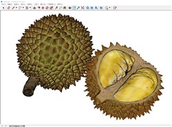 榴莲水果的sketchup模型