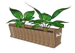 清新植物搭配的特色花箱模型呈现