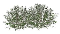 打造绿色空间，这些植物模型值得拥有