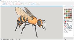 用Sketchup构建细节昆虫蜜蜂造型