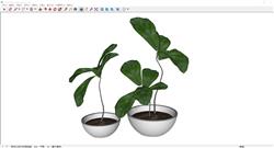 花盆植物SU模型