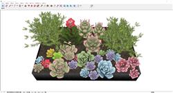 多肉植物集合SU模型 免费sketchup模型下载