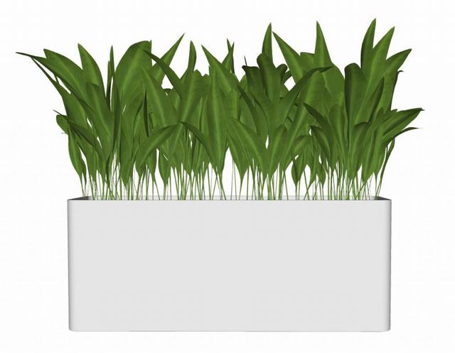 花箱绿植的SU模型