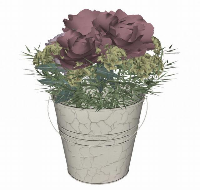 铁桶花盆植物的SU模型
