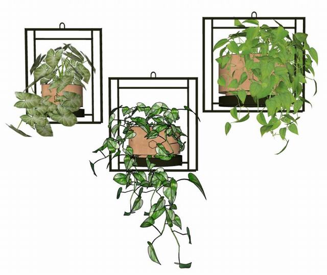 墙饰绿植吊篮SU模型
