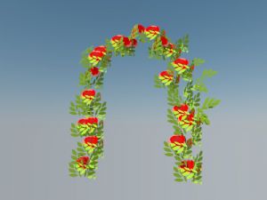 婚庆鲜花植物SU模型
