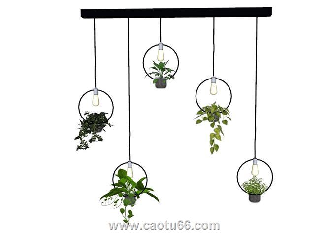 植物吊灯SU模型