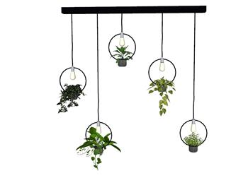 植物吊灯SU模型