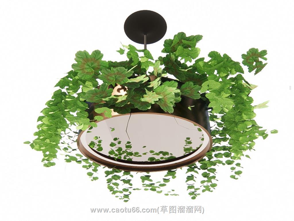 植物吊灯SU模型