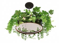 植物吊灯SU模型