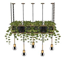 植物吊灯SU模型