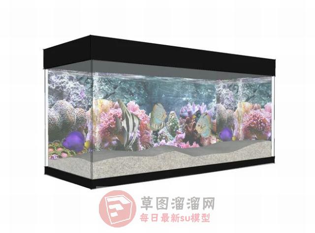金鱼缸SU模型