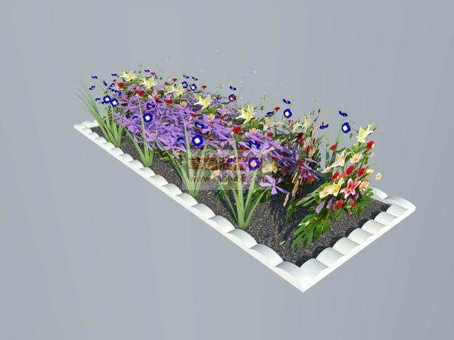 花坛花圃植物SU模型