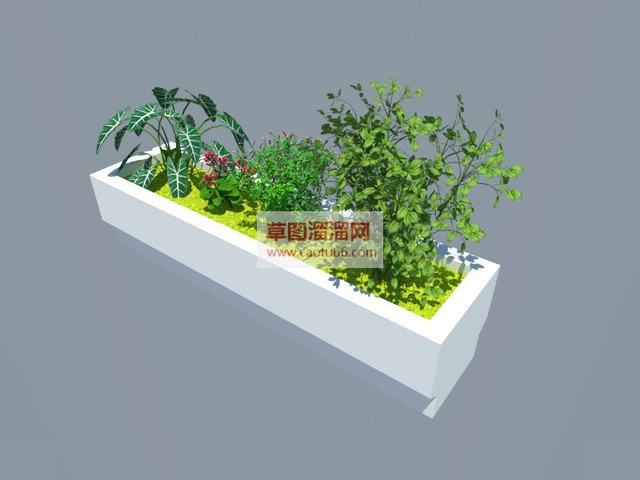 花圃花箱植物SU模型