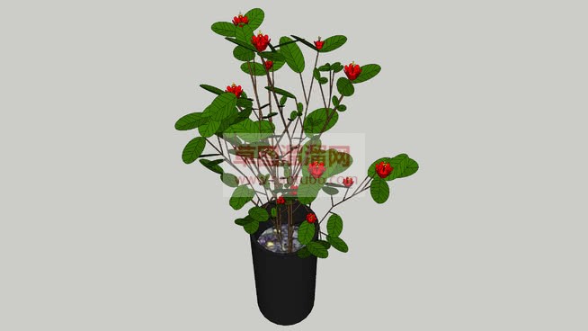 景观植物花盆SU模型