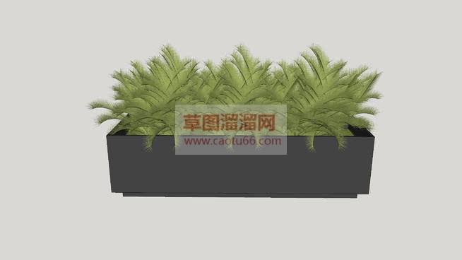 长方形小花坛SU模型
