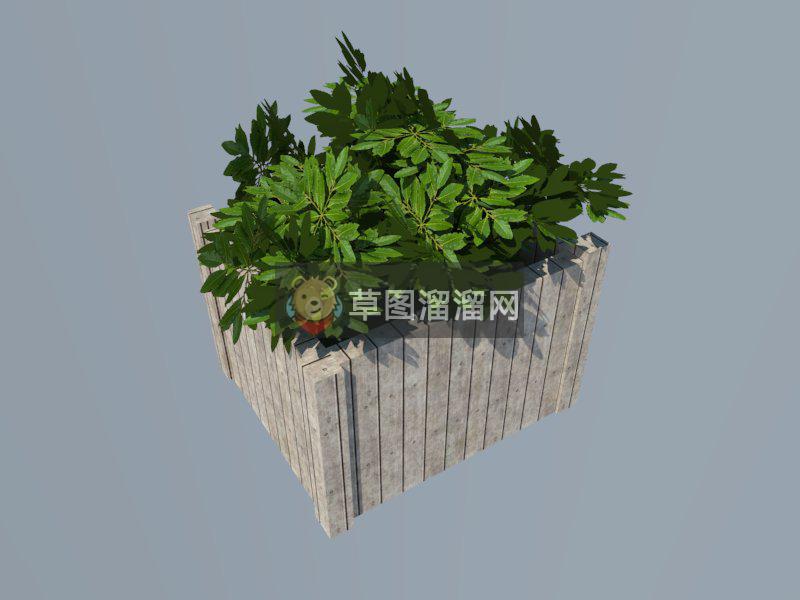 花箱绿植植物SU模型