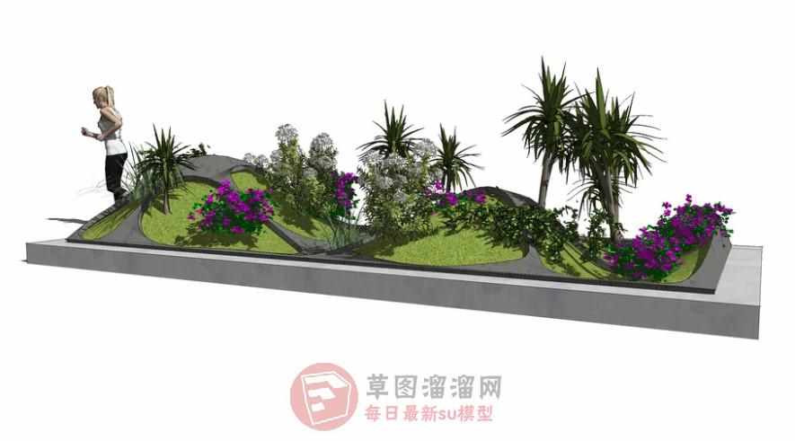 花圃花坛植物SU模型