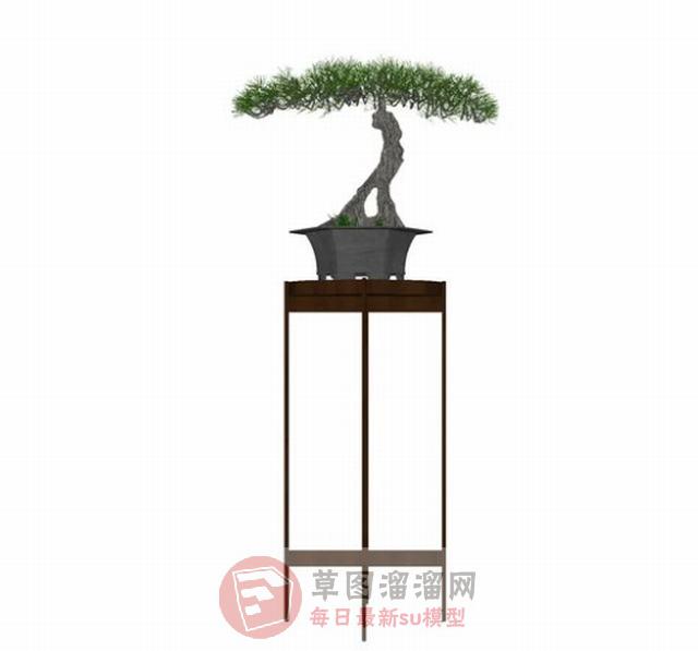 景观花盆盆栽SU模型