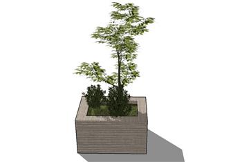 花箱植物SU模型
